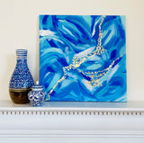 Blue Star Anise